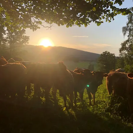 Wandlhof 3971 Sankt Martin 아파트 *