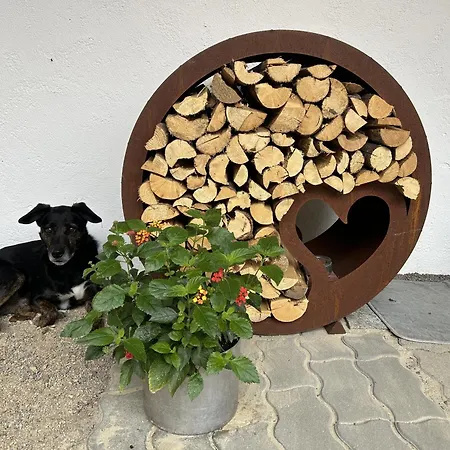 公寓 Wandlhof 3971 Sankt Martin