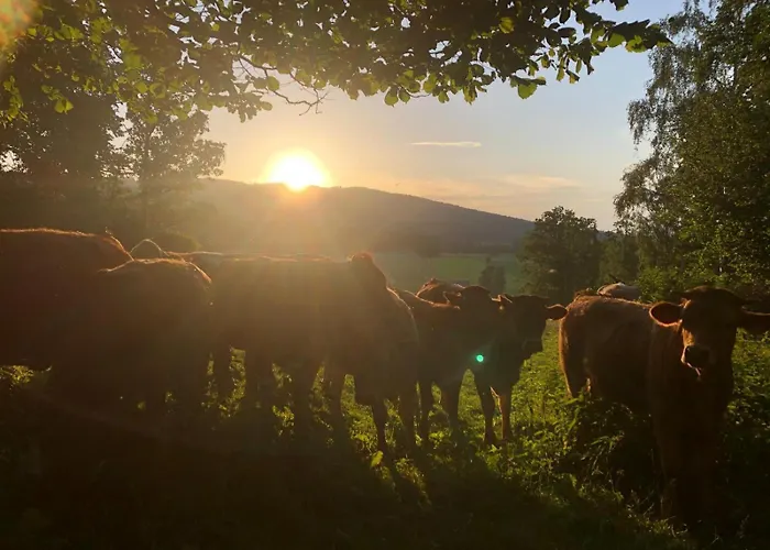 Wandlhof 3971 Sankt Martin 公寓 *