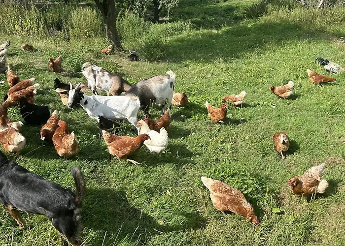 Wandlhof 3971 Sankt Martin 公寓 *