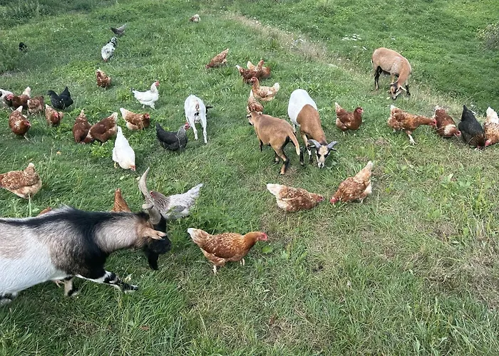 Wandlhof 3971 Sankt Martin 아파트 Sankt Martin (Gmund)