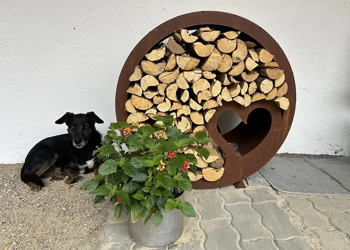 아파트 Wandlhof 3971 Sankt Martin